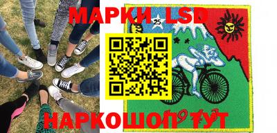 Альфа ПВП Можга