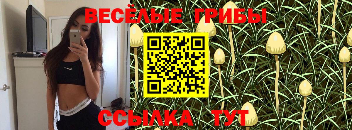 Тейково  Псилоцибиновые грибы Magic Shrooms  Вход с VPN 